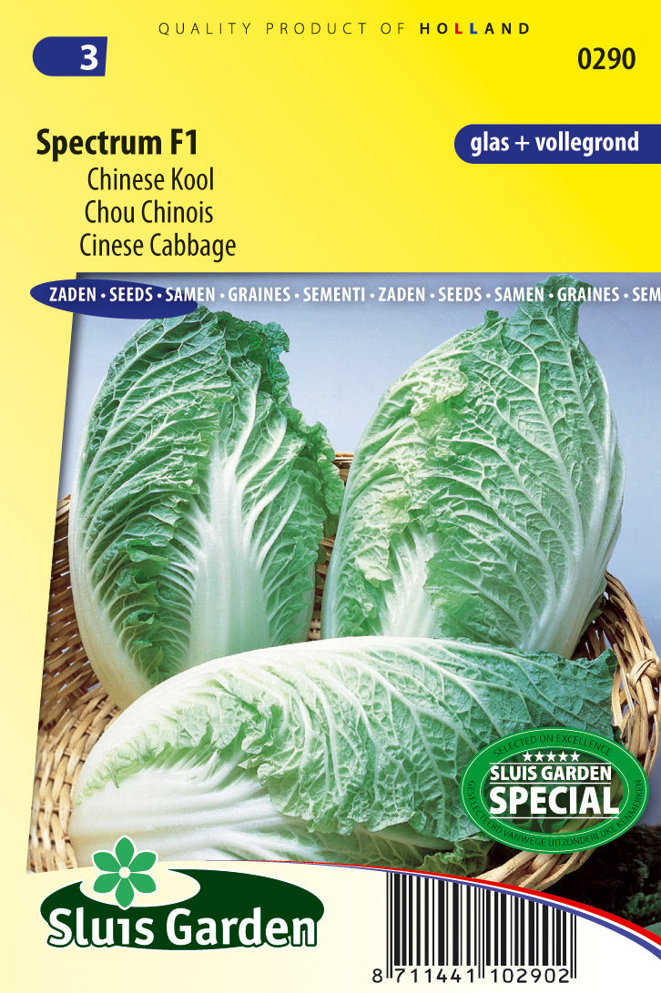 Chinese Cabbage Spectrum F1