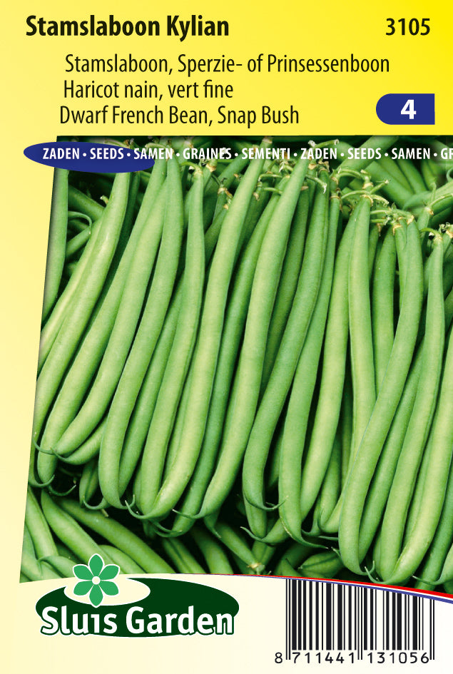 Dwarf French Bean Kylian
