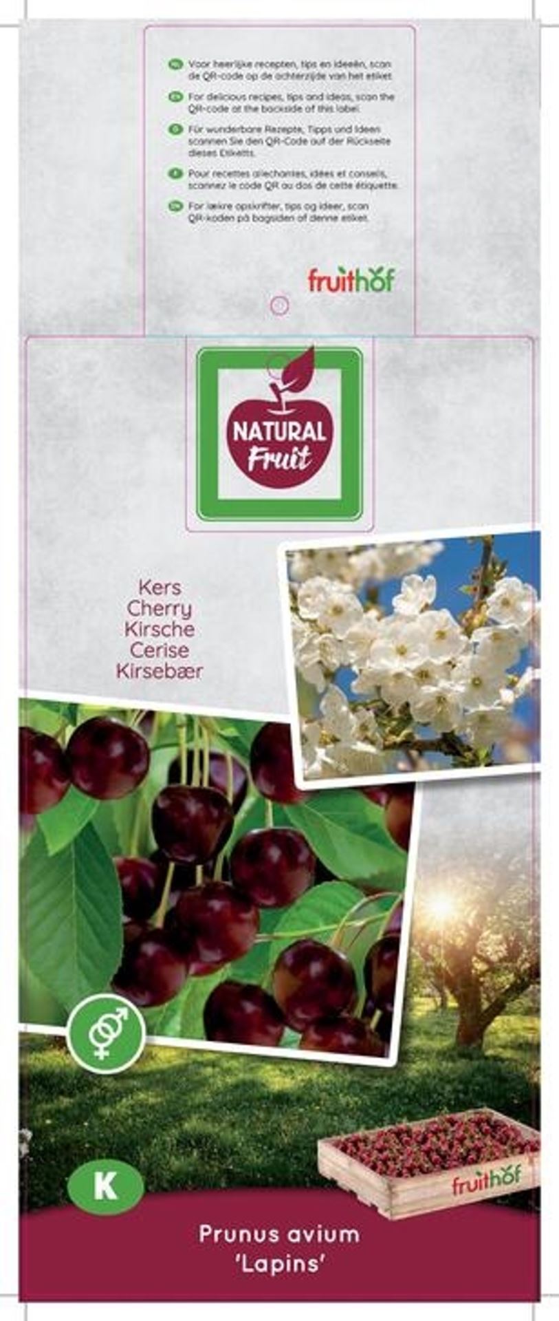 كرز اسود Lapins laagstam Zoete kers