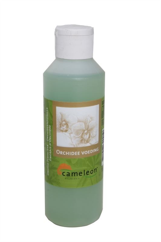 مغذي الأوركيد