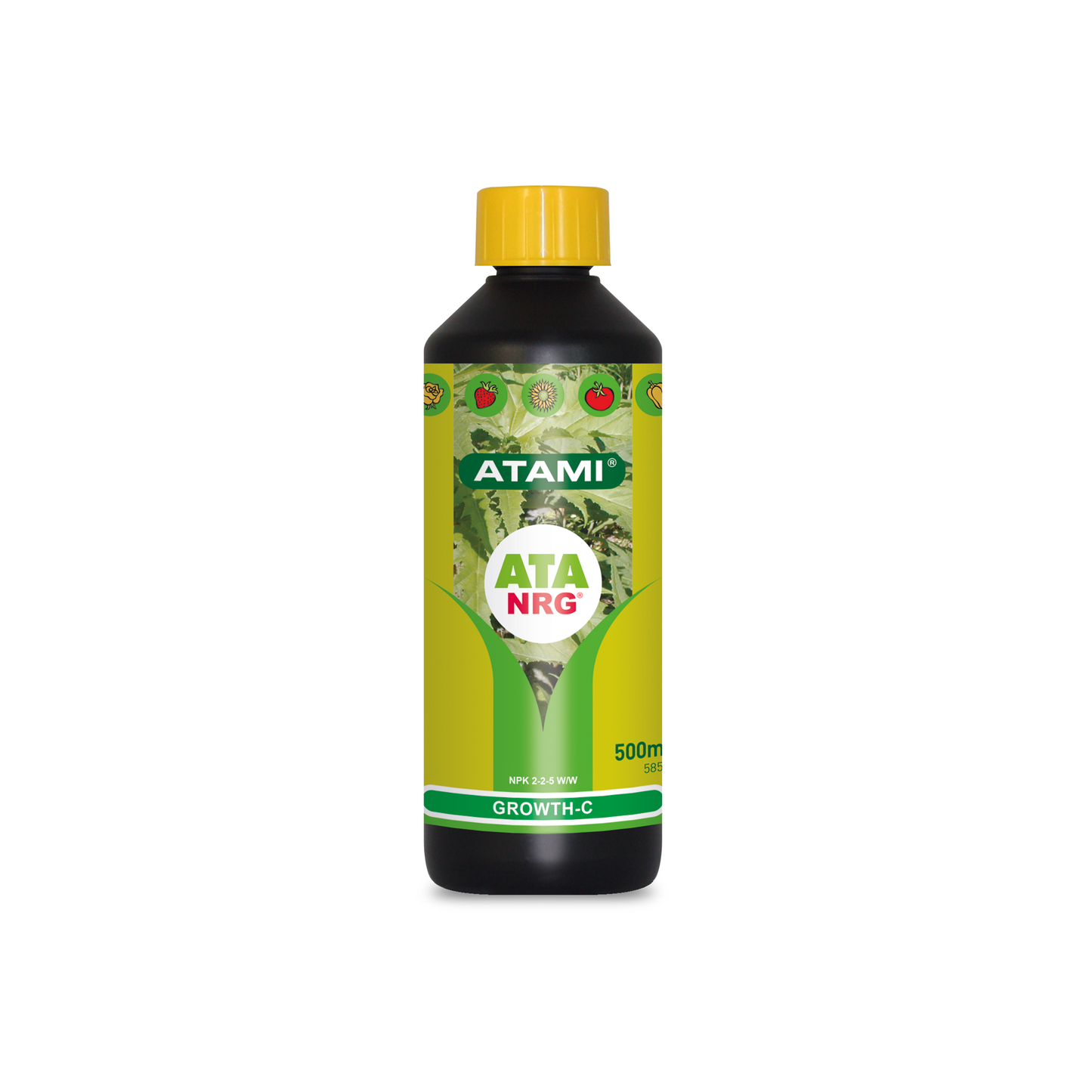 1 L ATA NRG Growth-C