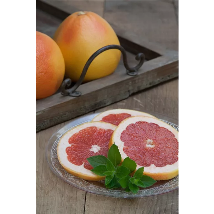 نعناع الجريب فروت