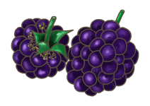 little sweet syster توت بلاك بيري