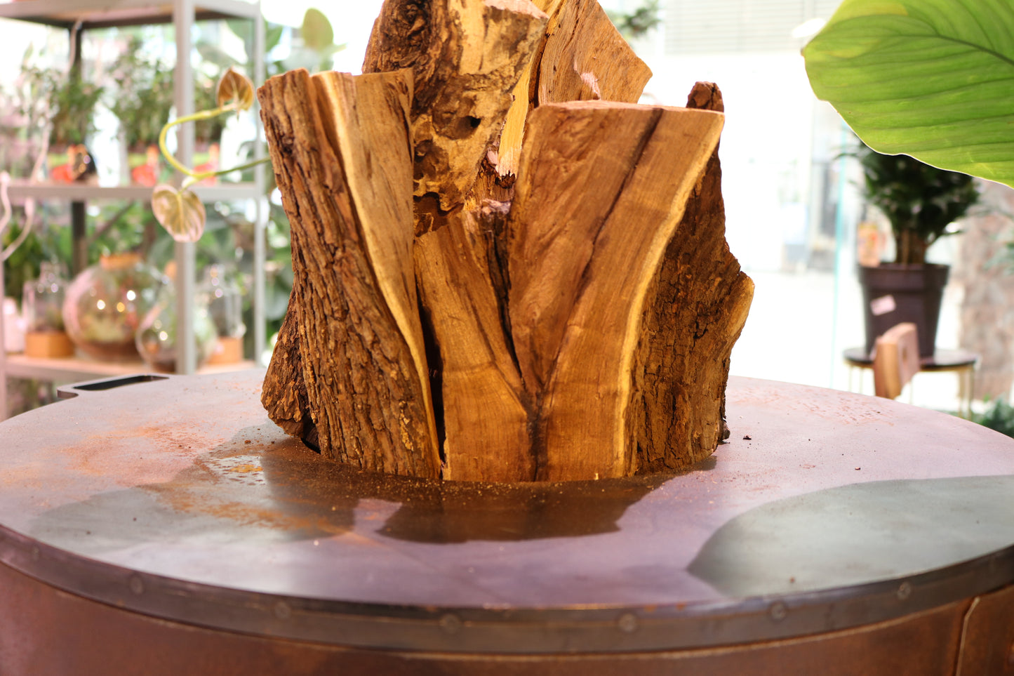 Grillplate the highland ember شواية خشبية كبيرة الحجم