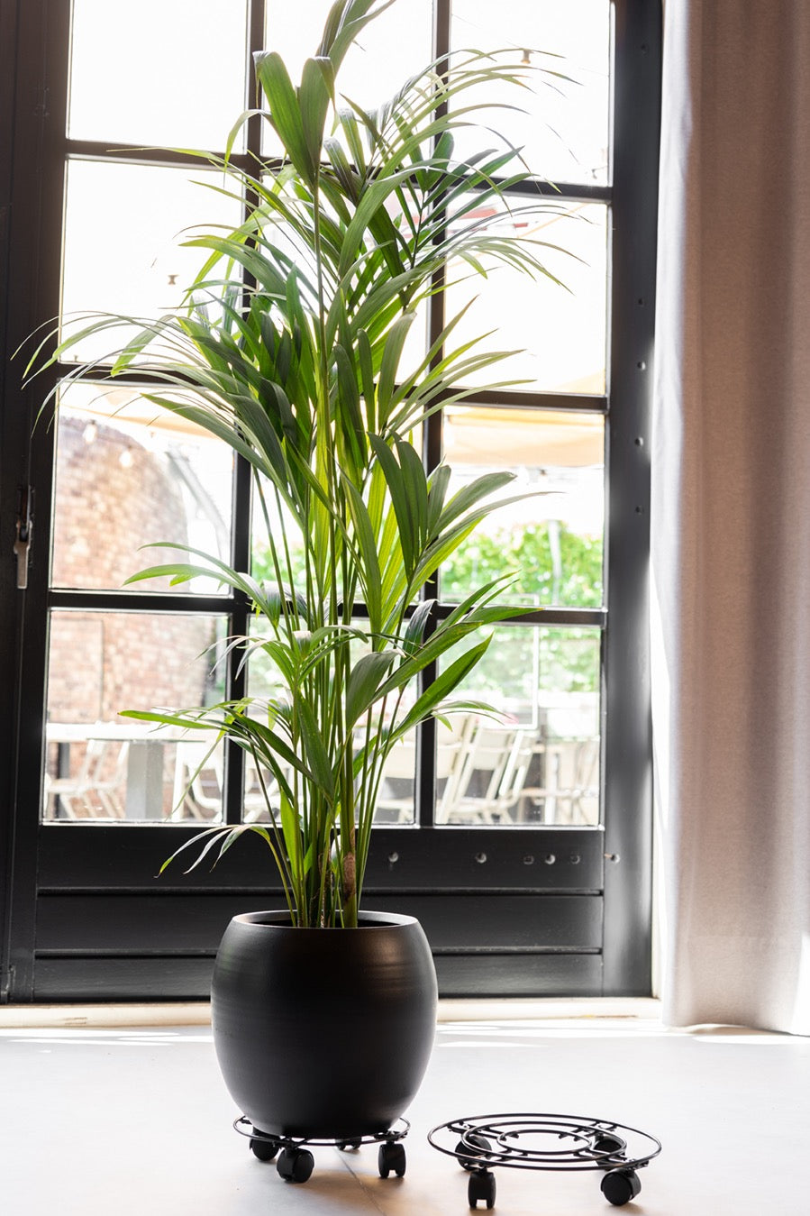 Flowerpot ارجل للاحواض Trolley black D33 H6