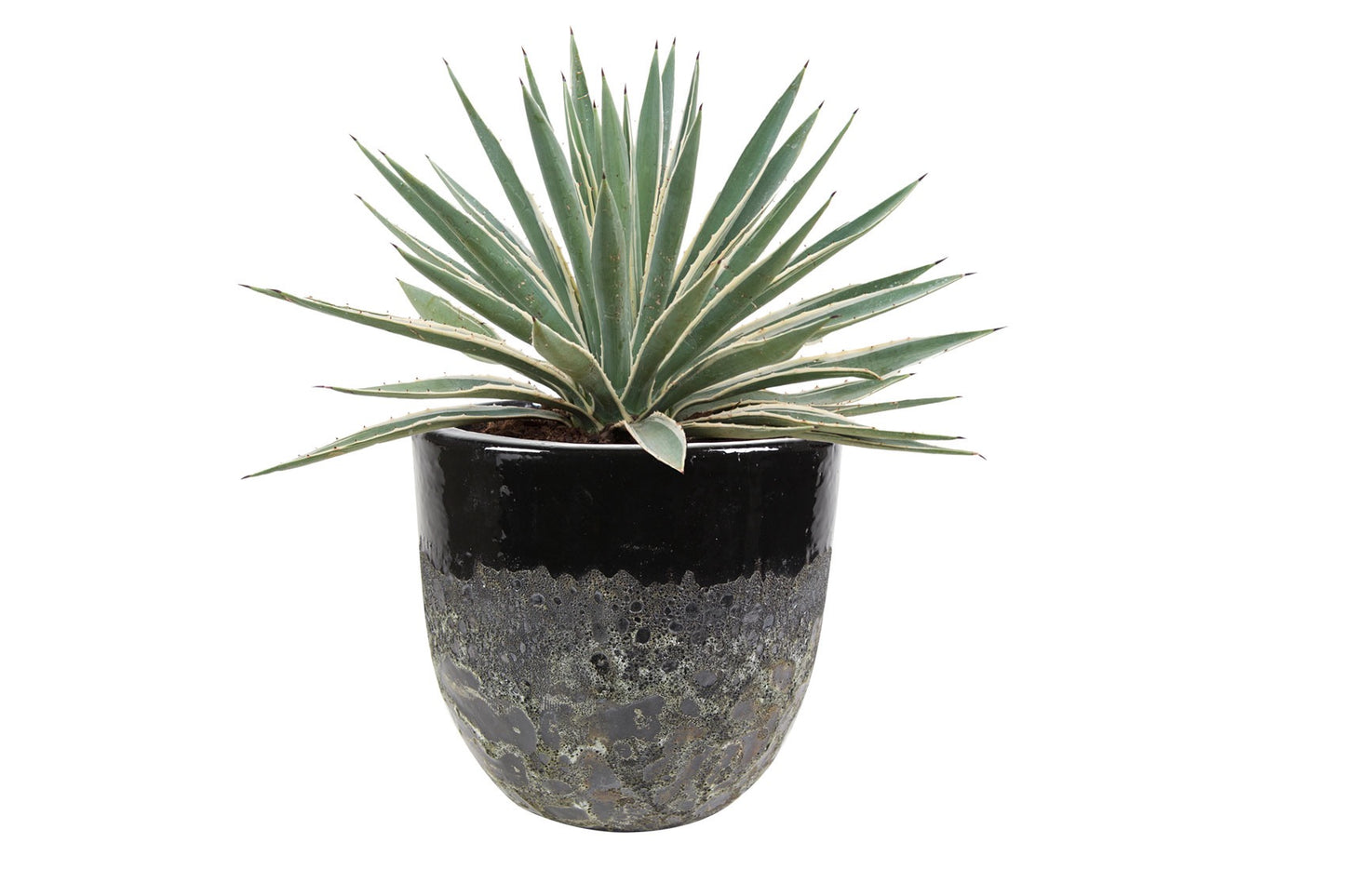 Vase Pride black D44 H56 وسط