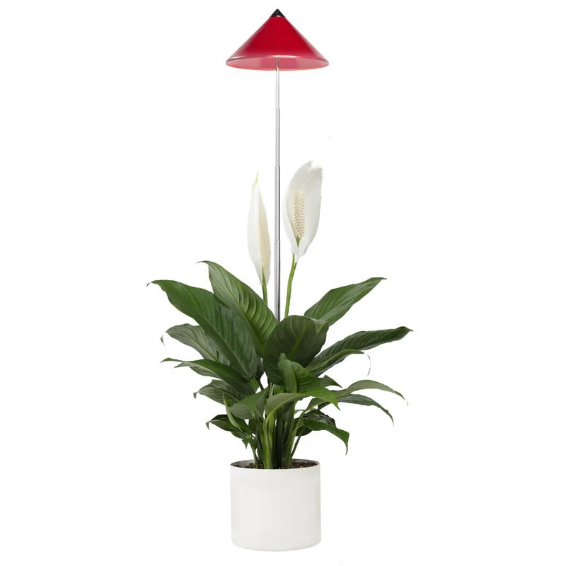 light SUNLiTE 7W - LED plant lamp parus