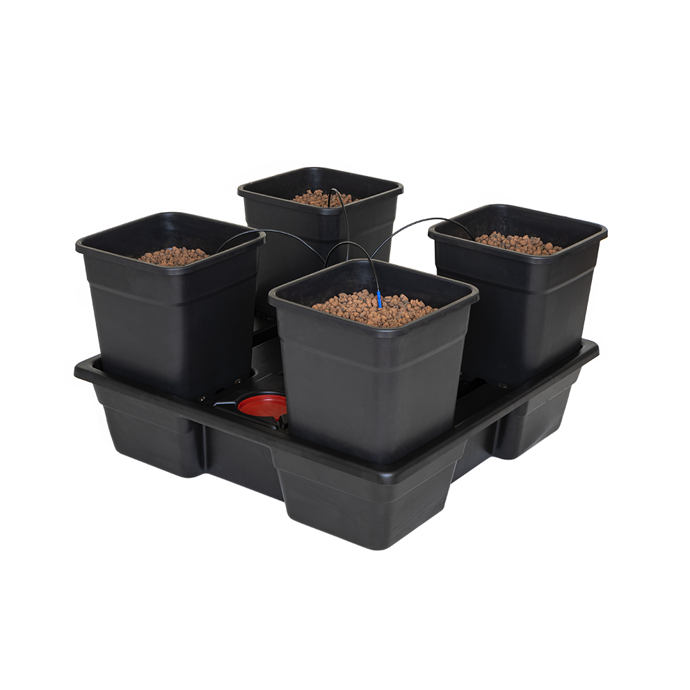 wilma 4 Xl hydroponic system