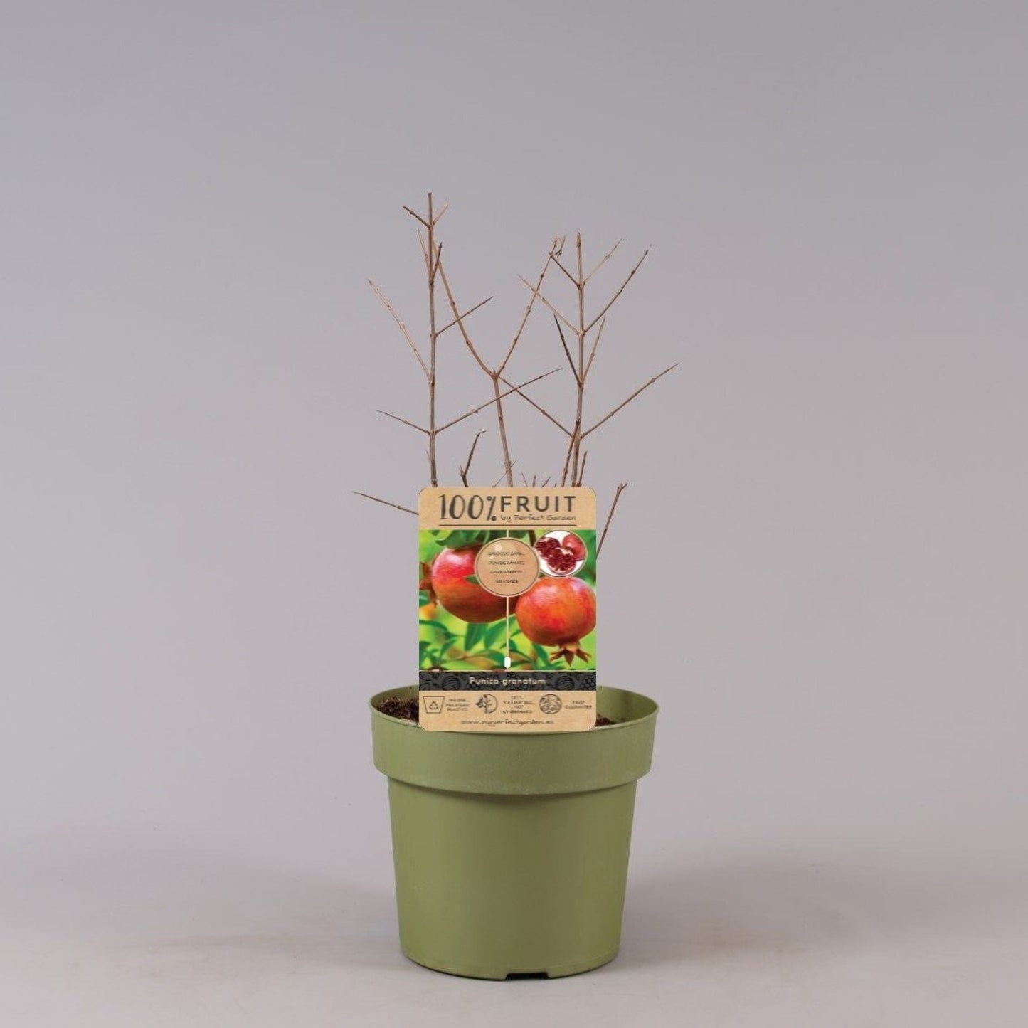 رمان اوربي حلو