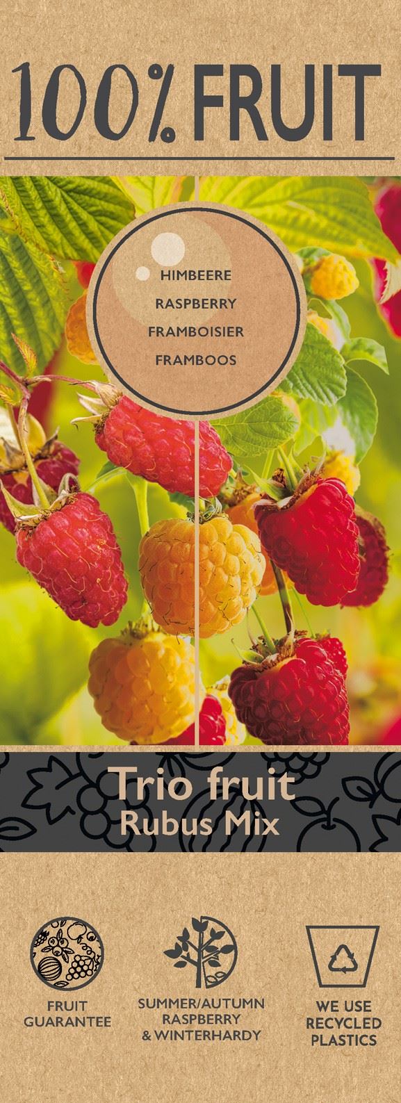 توت ملون Trio Framboos aan rek, P23