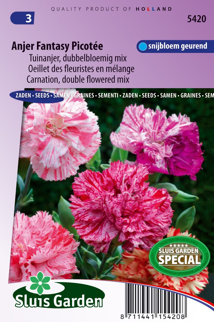Anjer fantasy picotee "carnation, double flowered mix"