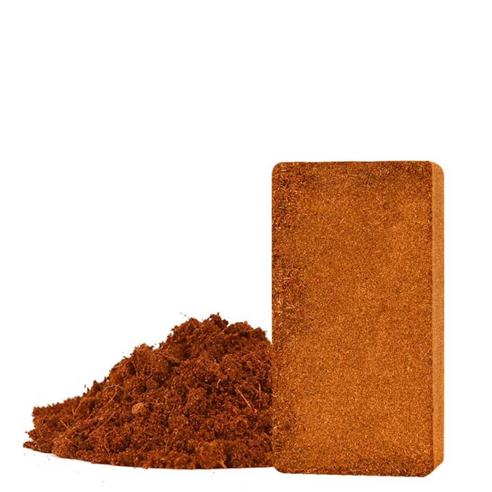 Plagron coco Brix (6 stuks)