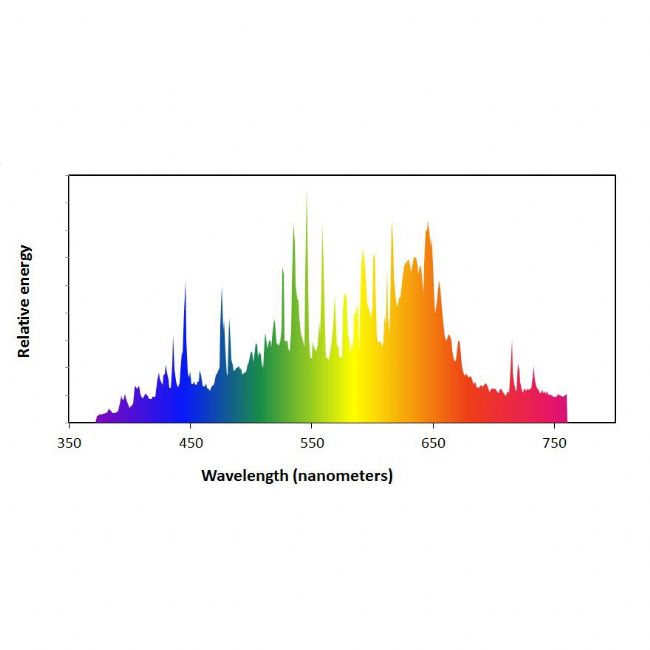 d-Papillon 315W Electro - Philips Daylight CMH