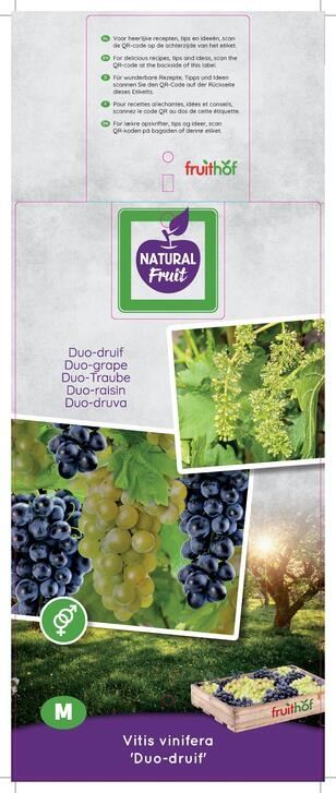 عنب مشكل لونين اصفر واسود