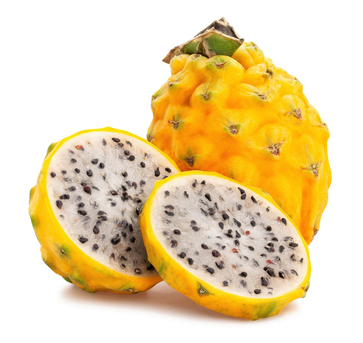Megalanthus Palora (Pitaya Amarill دراجون فروت اصفر