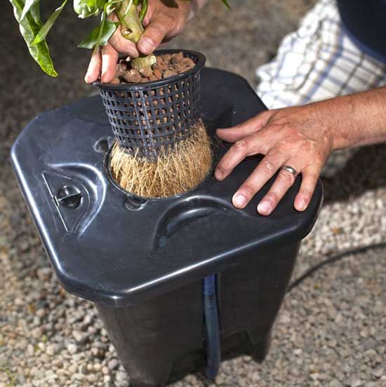 Nutriculture NEW Oxypot