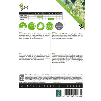 Buzzy® Anise (Pimpinella Anisum)