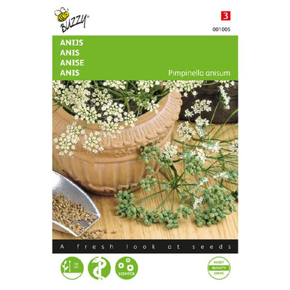 Buzzy® Anise (Pimpinella Anisum)