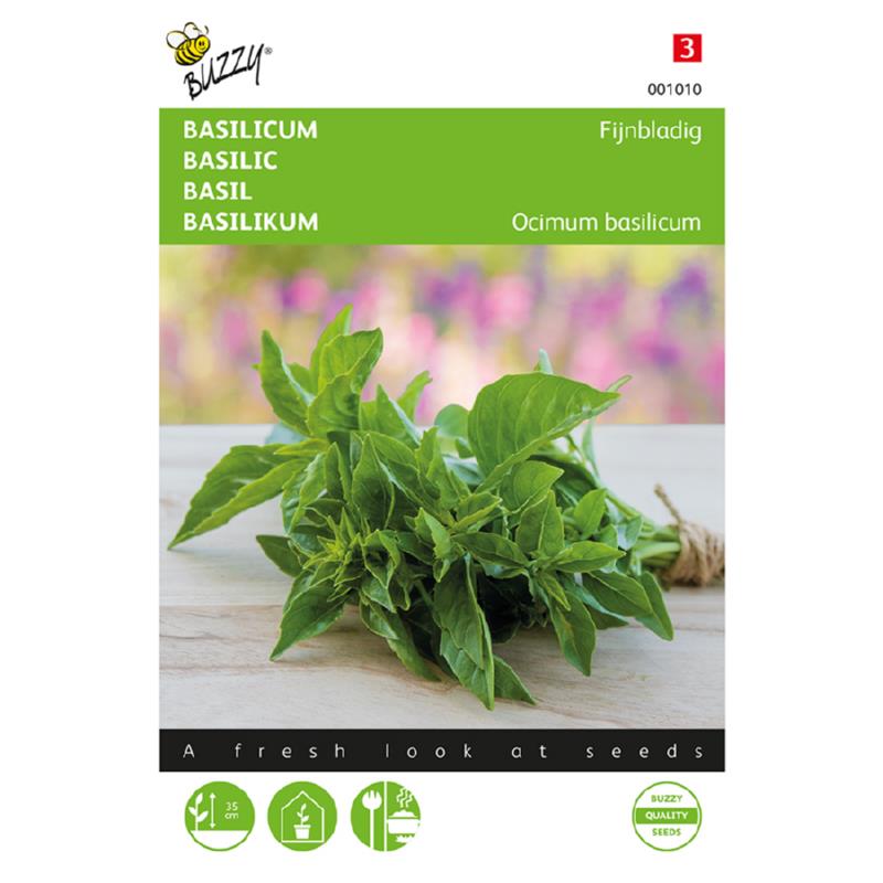 Buzzy® Ocimum basilicum minumum (Basil, Bush)