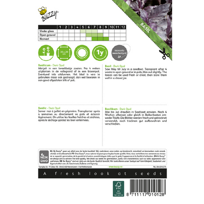 Buzzy® Basil - Purple - Ocimum basilicum Dark Opal