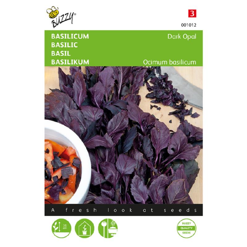 Buzzy® Basil - Purple - Ocimum basilicum Dark Opal