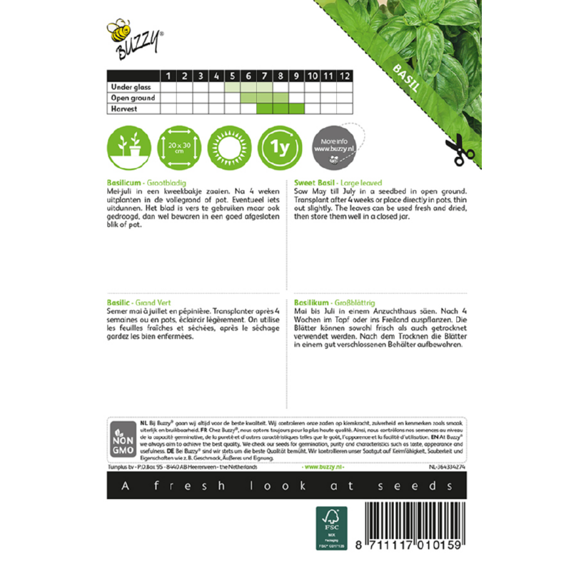 Buzzy® Sweet Basil, large leaved