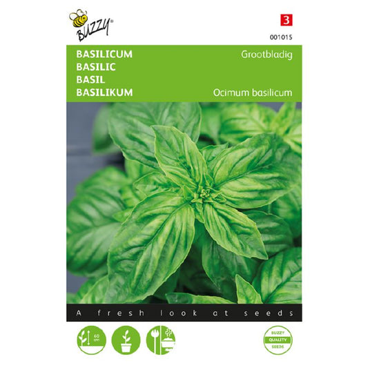 Buzzy® Sweet Basil, large leaved