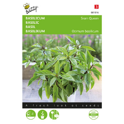 Buzzy® Basil Siam Queen