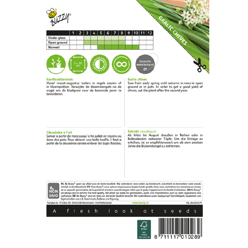 Buzzy® Garlic Chives - Chinese