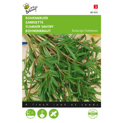 Buzzy® Herb Savory Summer - Satureja hortensis