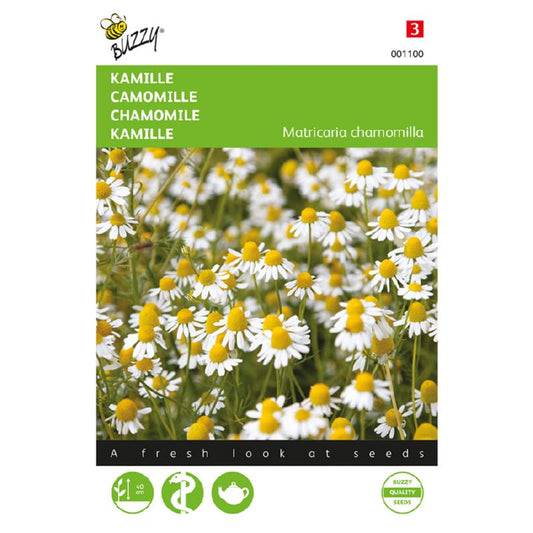 Buzzy® Matricaria chamomilla (Mayweed) - German