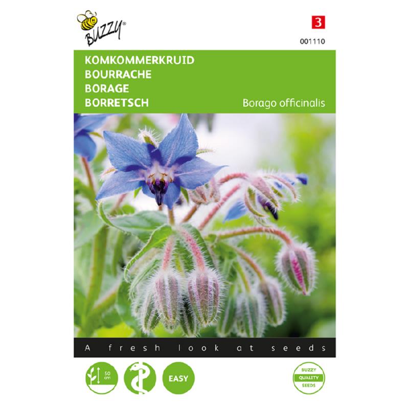 Buzzy® Borage - Borago officinalis