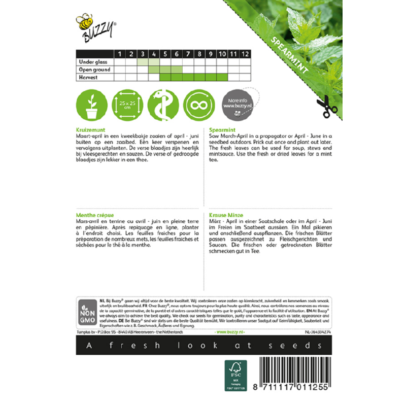 Buzzy® Mentha spicata viridis