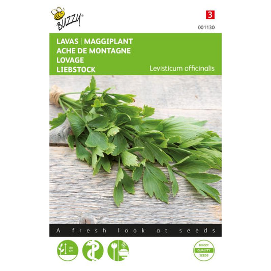 Buzzy® Levisticum officinale (Lovage)