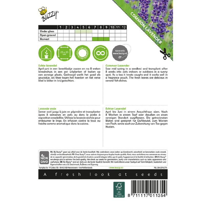 Buzzy® True Lavender -Lavandula angustifolia