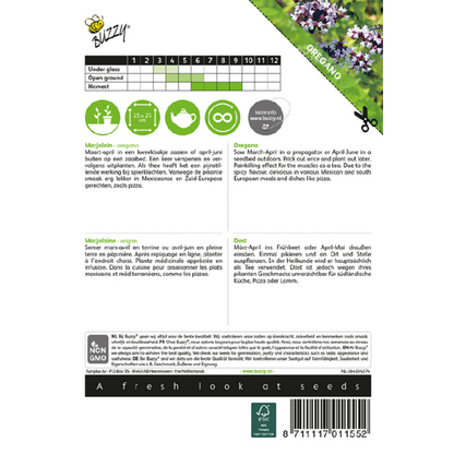 Buzzy® Origanum vulg/perenn. Marjoram