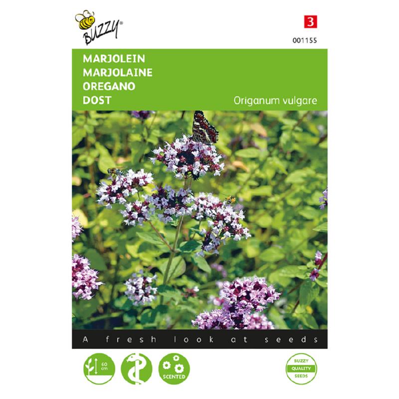 Buzzy® Origanum vulg/perenn. Marjoram