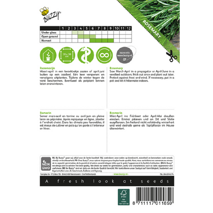 Buzzy® Rosmarinus officinalis (Rosemary)