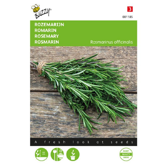 Buzzy® Rosmarinus officinalis (Rosemary)