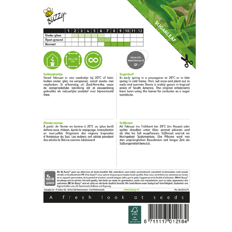 Buzzy® Sugar Plant or Sweet Leaf