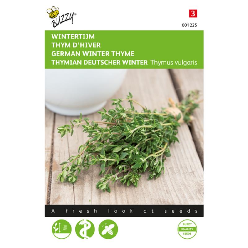 Buzzy® Thyme English Winter (Thymus vulgaris)