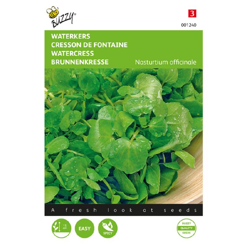 Buzzy® Nasturtium officinale / Watercress