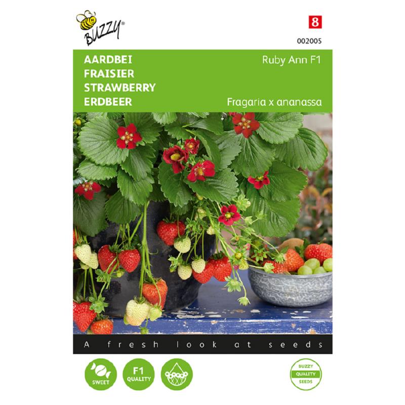 Buzzy® Strawberries Ruby Ann F1