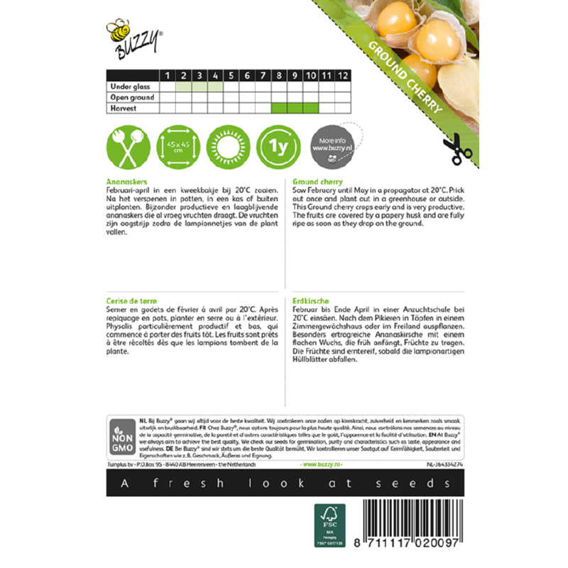 Buzzy® Physalis Edulis Golden Berry (Ph. Peruviana)