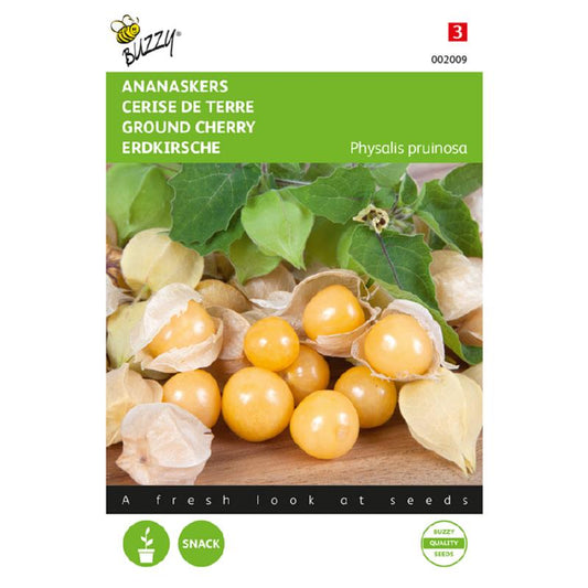 Buzzy® Physalis Edulis Golden Berry (Ph. Peruviana)