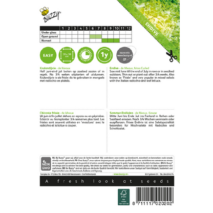 Buzzy® Endive de Meaux Moss Curled