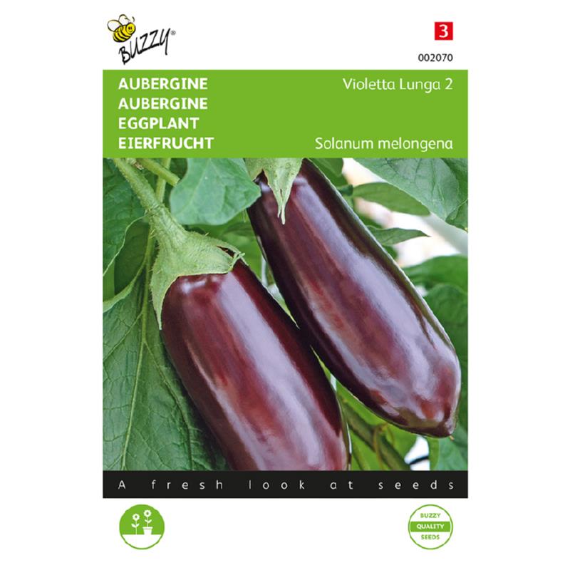 Buzzy® Eggplant Violetta Lunga 2