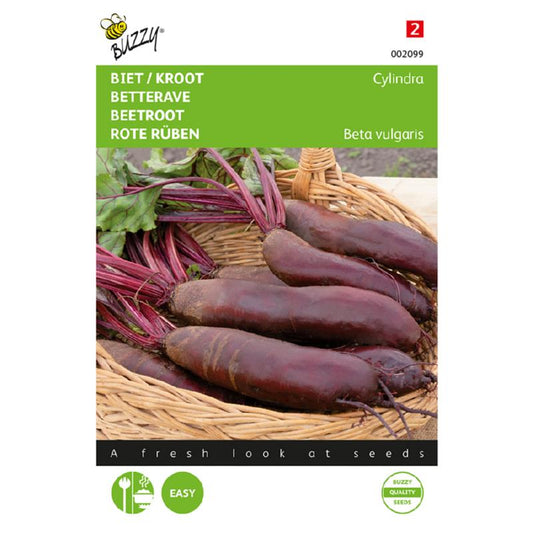 Buzzy® Beetroot Cylindra