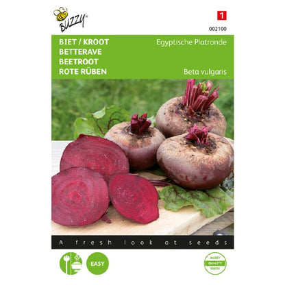 Buzzy® Beetroot Egyptian turnip rooted