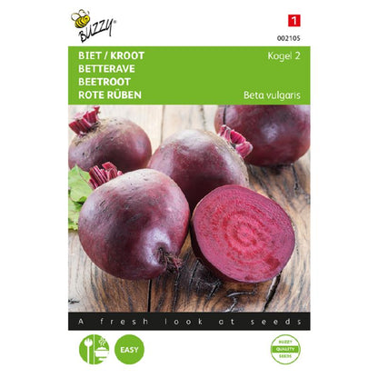 Buzzy® Red Beet Detroit 2